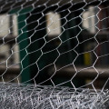 Rete esagonale con rete da pollo zincato galvanizzato Fence